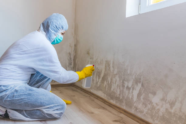 Mold Remediation specialist working in Glen Mills